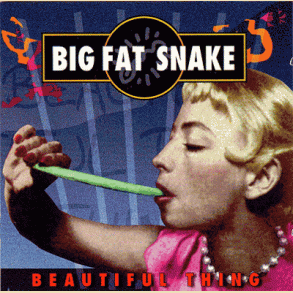 Big Fat Snake: Beautiful Thing