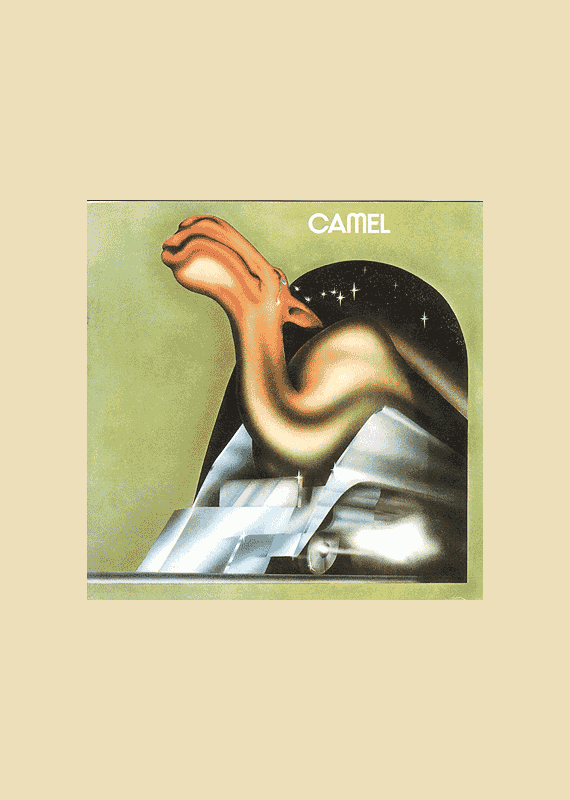 Camel