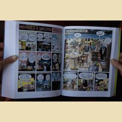 Fabulous Furry Freak Brothers: Omnibus