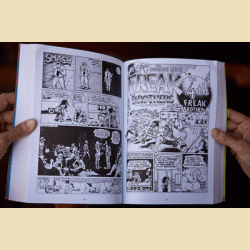 Fabulous Furry Freak Brothers: Omnibus