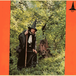 Gandalf The Grey: The Grey Wizard Am I