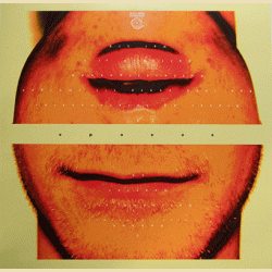 Kogekunst: Sexede (Vinyl)