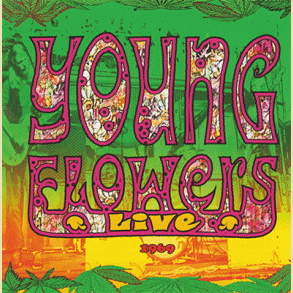 Young Flowers: LIVE